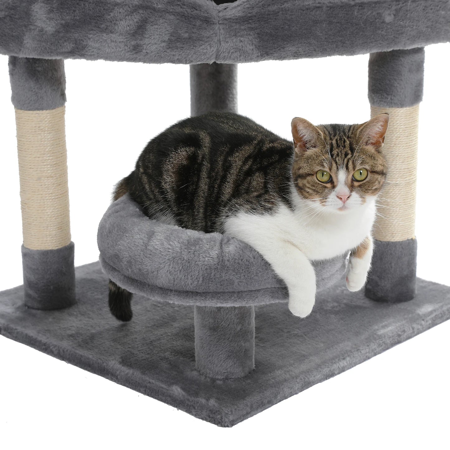 Domestic Delivery Multi-Level Cat Tree Tower Climb Furniture