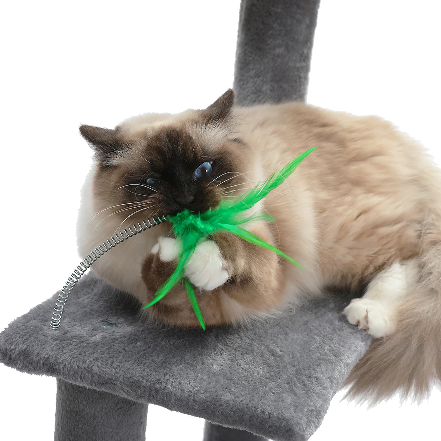 Domestic Delivery Multi-Level Cat Tree Tower Climb Furniture