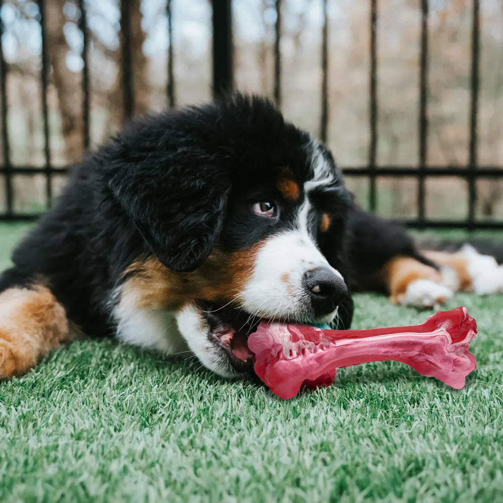 Durable Dog Chew Toy