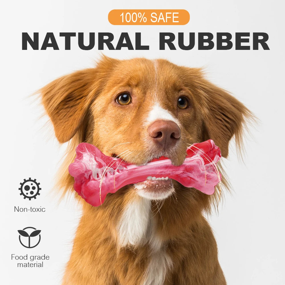 Durable Dog Chew Toy