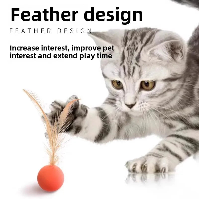Design Cat Toy Ball Cat
