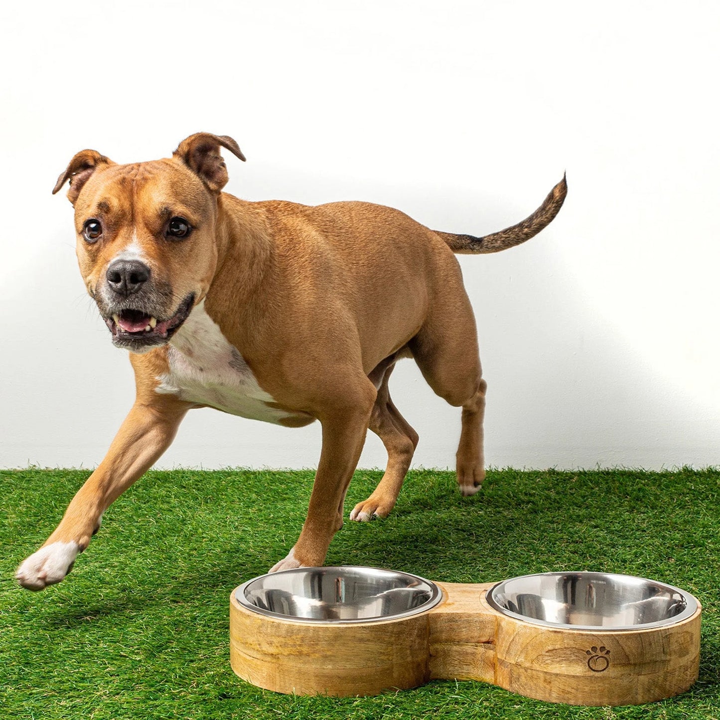 Double Cat Bowl with Stand