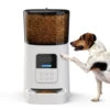 iPetDog Smart Wi-Fi Pet Feeder Microchip Design Automatic Ca