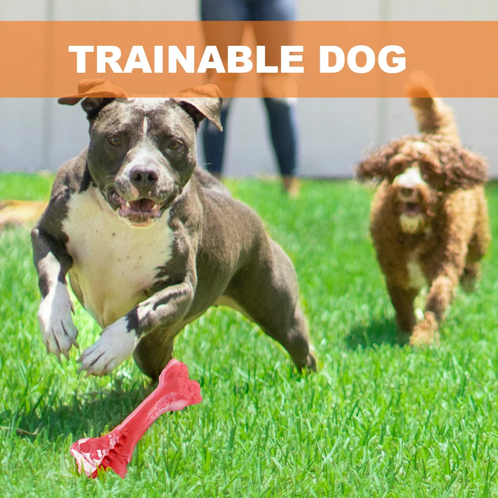 Durable Dog Chew Toy