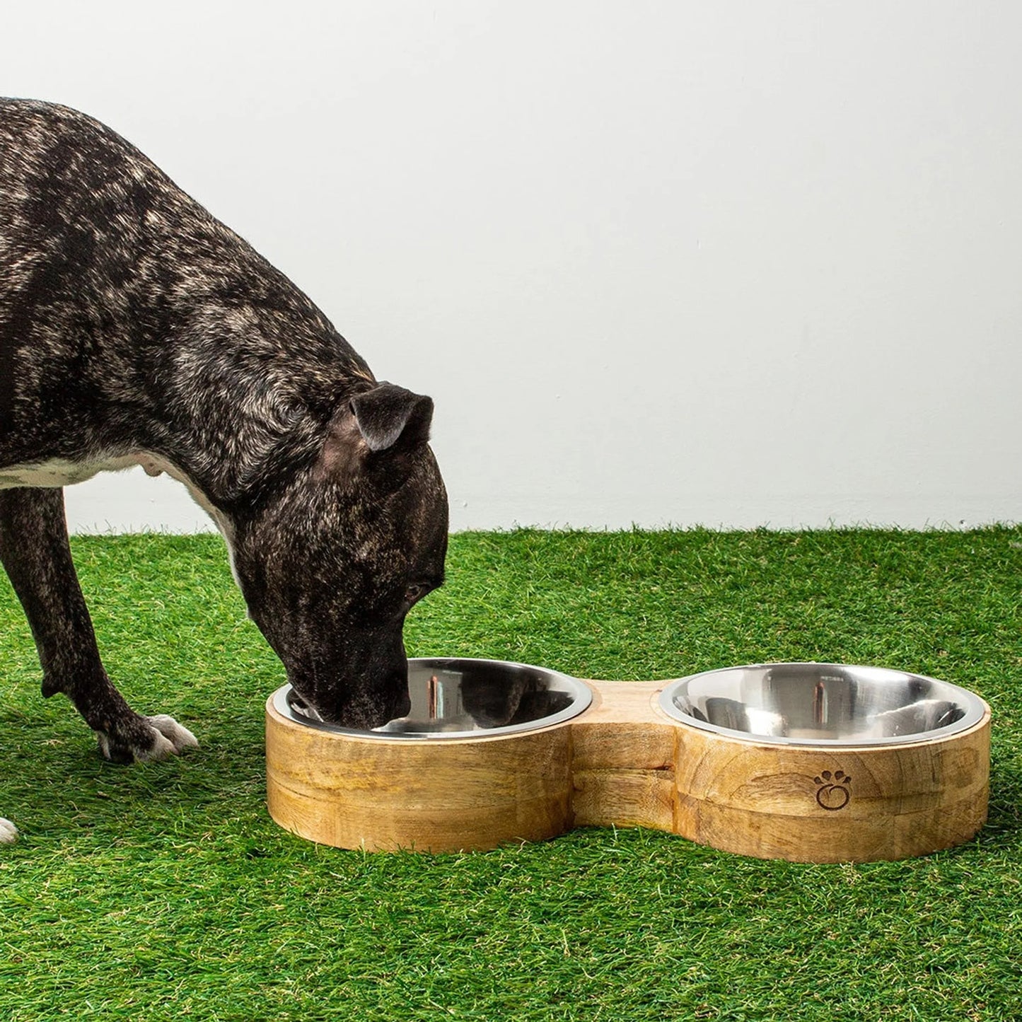 Double Cat Bowl with Stand