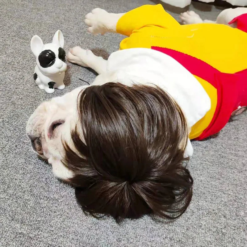 Funny Karen Wig for Dogs – Hilarious Halloween Costume