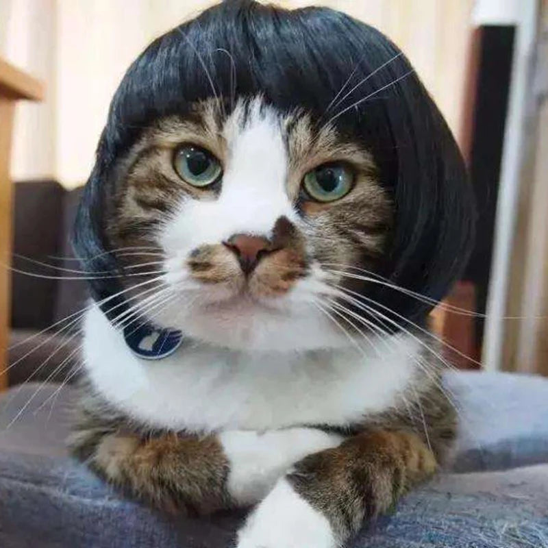 Funny Karen Wig for Dogs – Hilarious Halloween Costume
