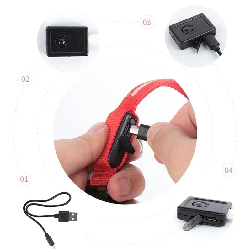 USB-Rechargeable LED Safety Collar