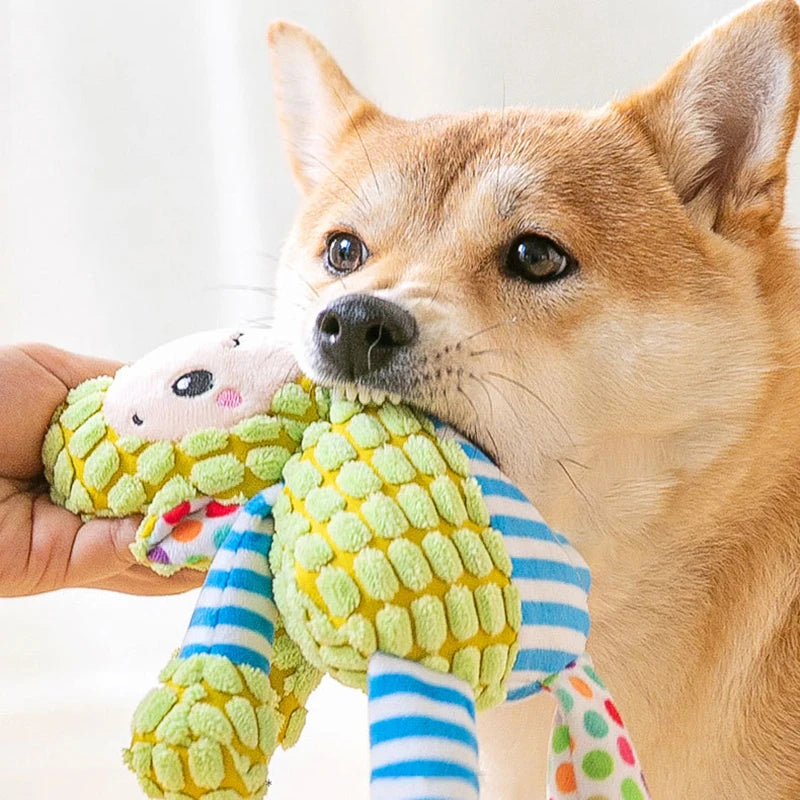 Durable Dog Chew Toy