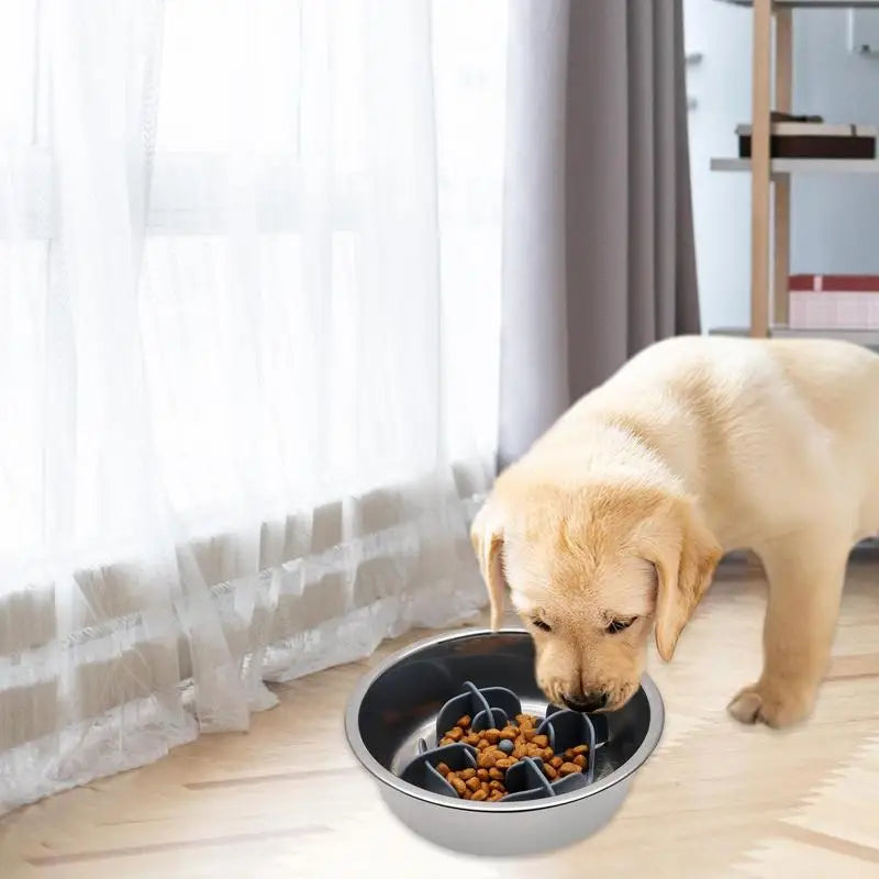 Pet Bowl Slow Feeder |