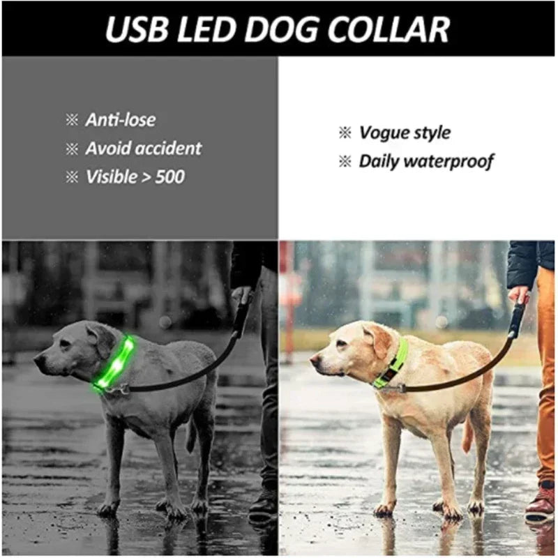 USB-Rechargeable LED Safety Collar