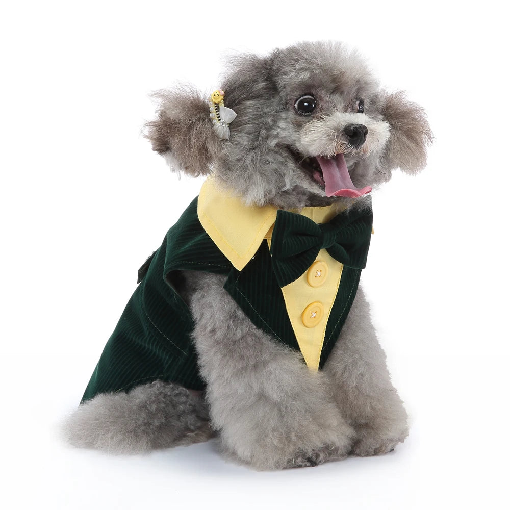Dog Tuxedo Halloween Costume