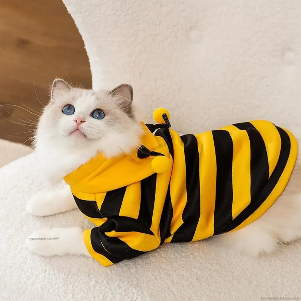 Halloween Dog Bee Costume