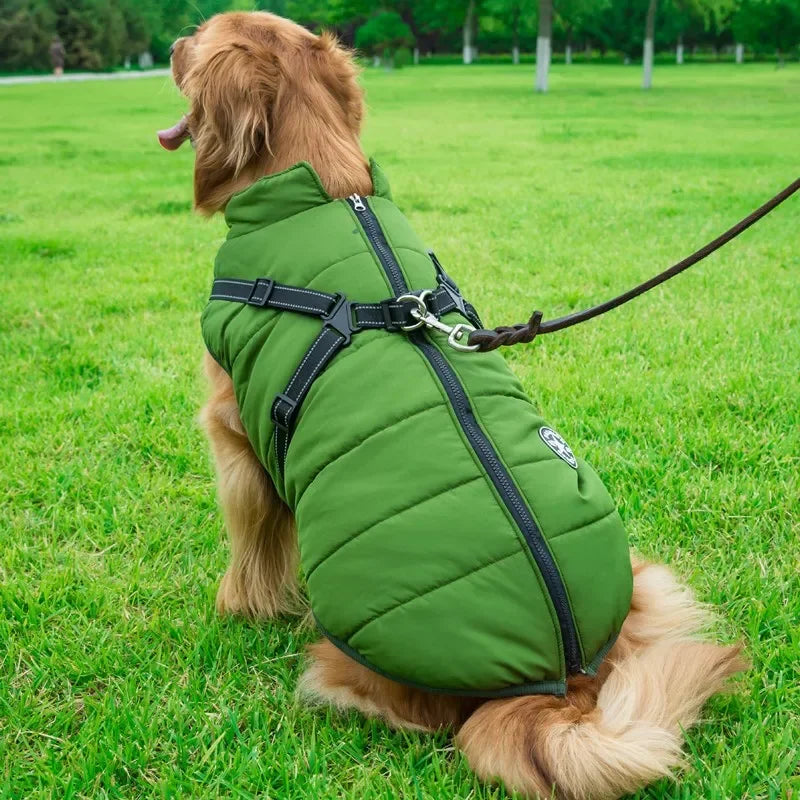 Waterproof Dog Jacket with Harness