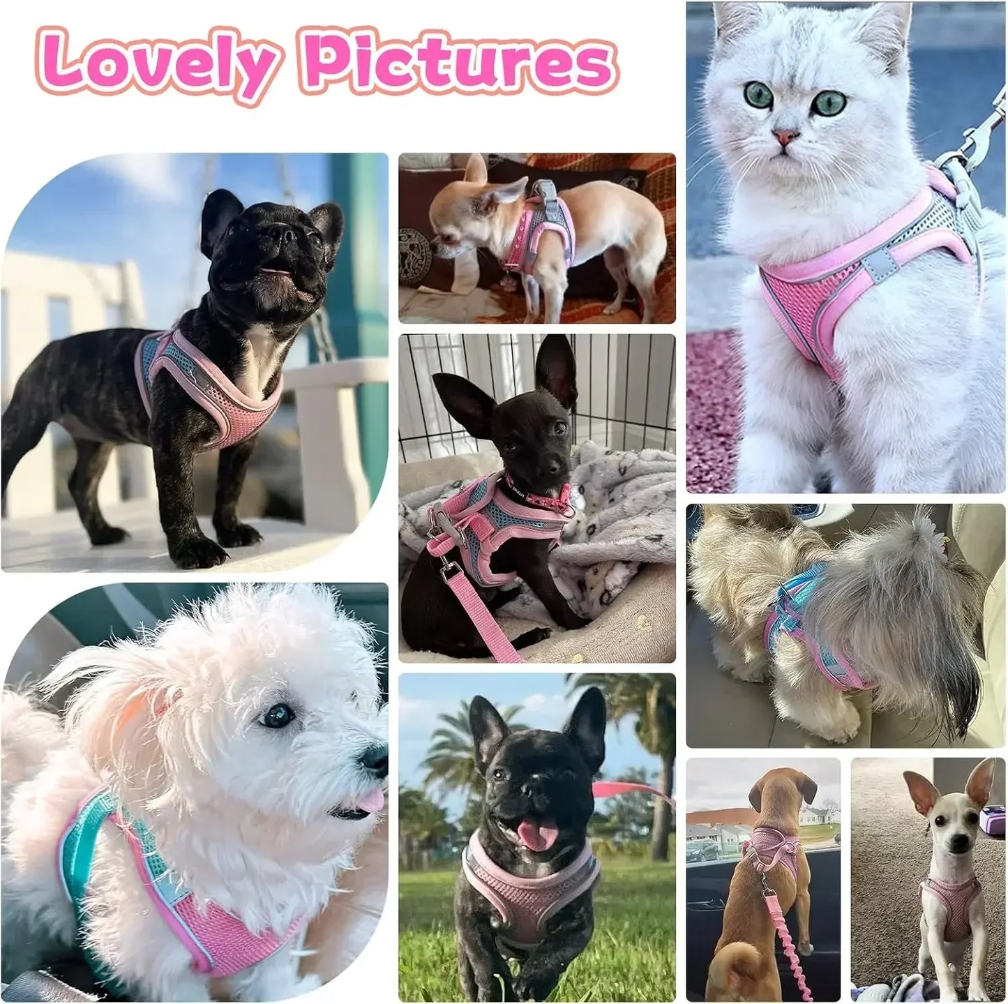 Escape-Proof Dog Harness and Leash Set for Small Dogs