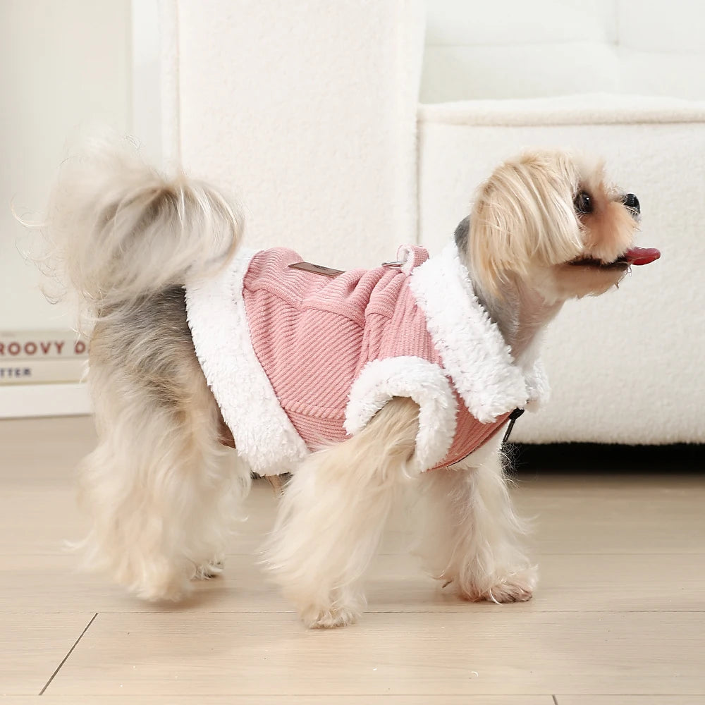 Winter Dog Jacket