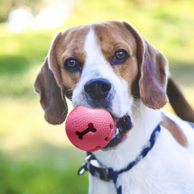 Bone Chew Toy & Treat Dispenser