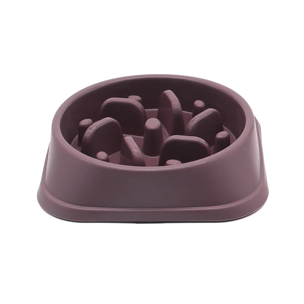 Slow Eating Feeders For Dogs