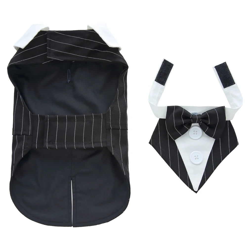 Dog Tuxedo Halloween Costume