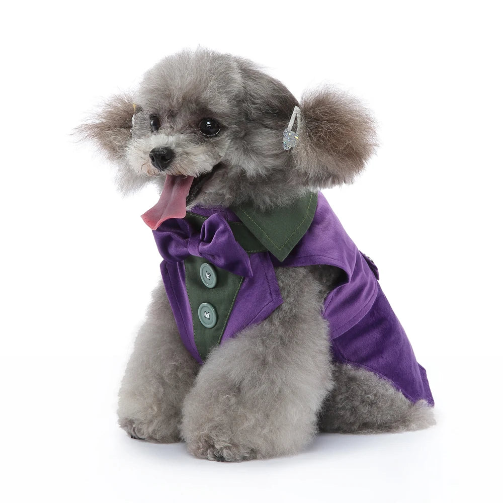 Dog Tuxedo Halloween Costume
