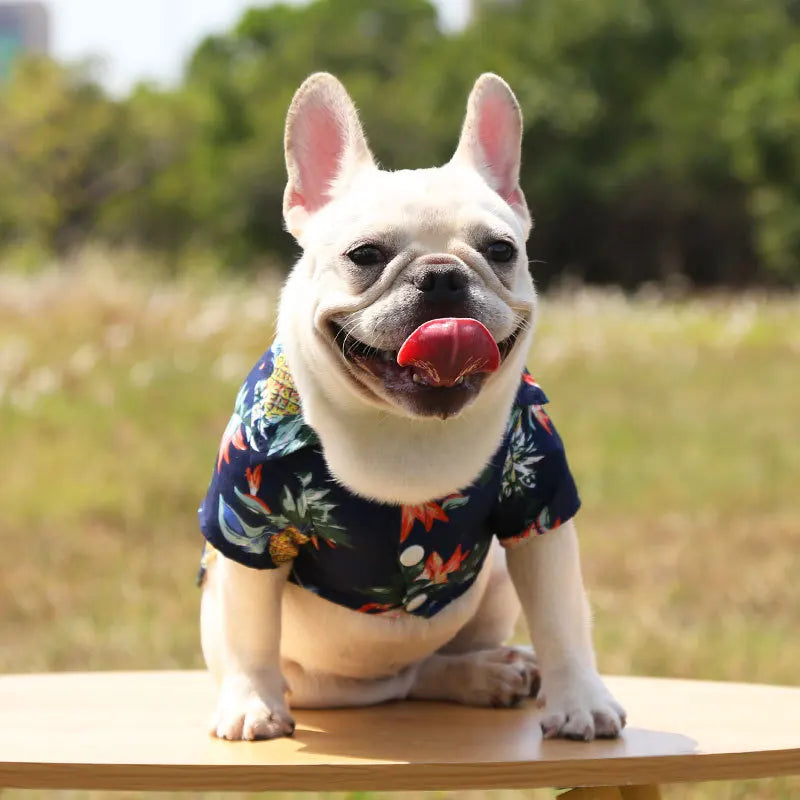 Dog Shirt Summer Pet Dog
