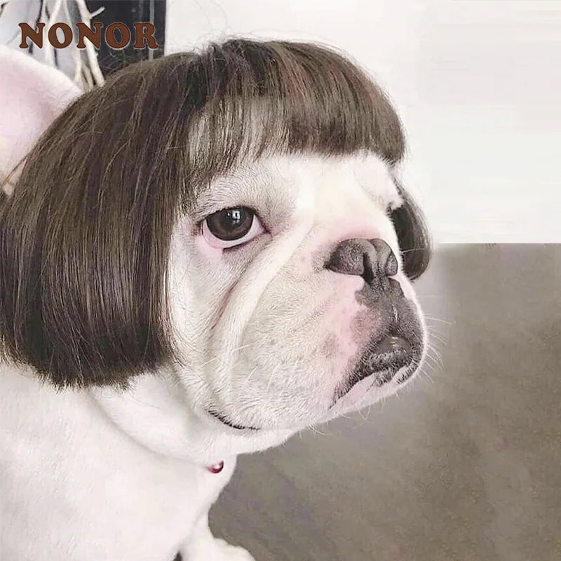 Funny Karen Wig for Dogs – Hilarious Halloween Costume