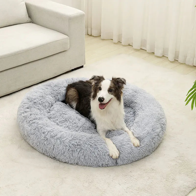 Soft Dog Beds House Soft