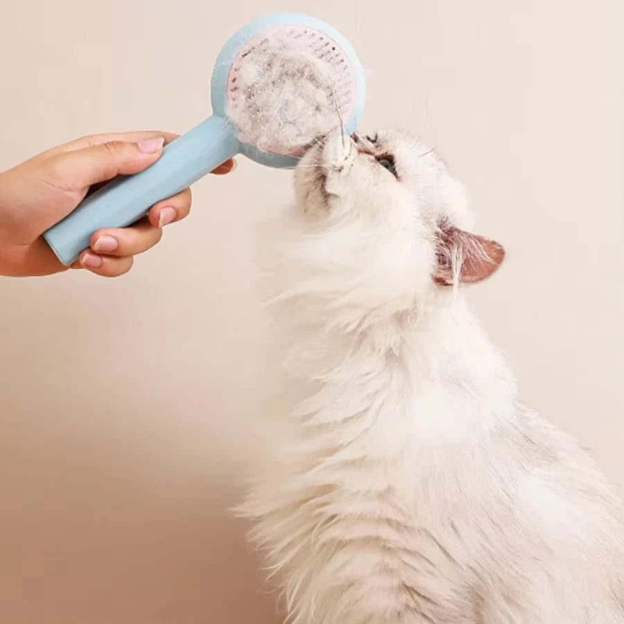 Cat Brush Pet Grooming Brush