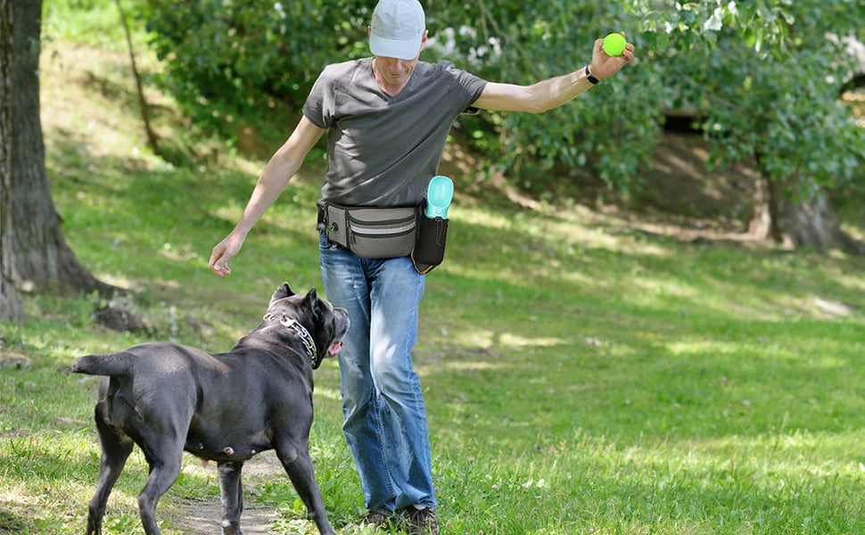 Dog Treat Bag For Training