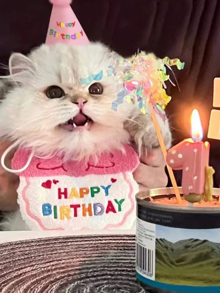 Cat Dog Birthday Bib And