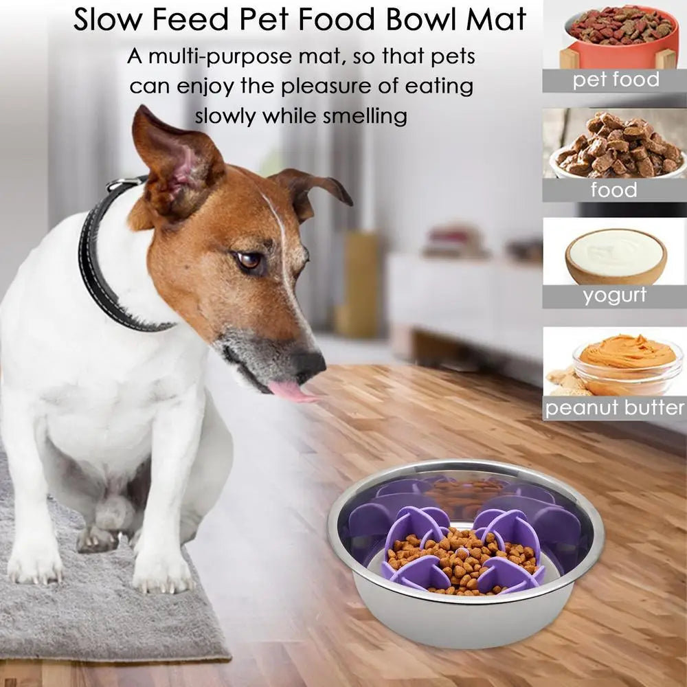 Pet Bowl Slow Feeder |