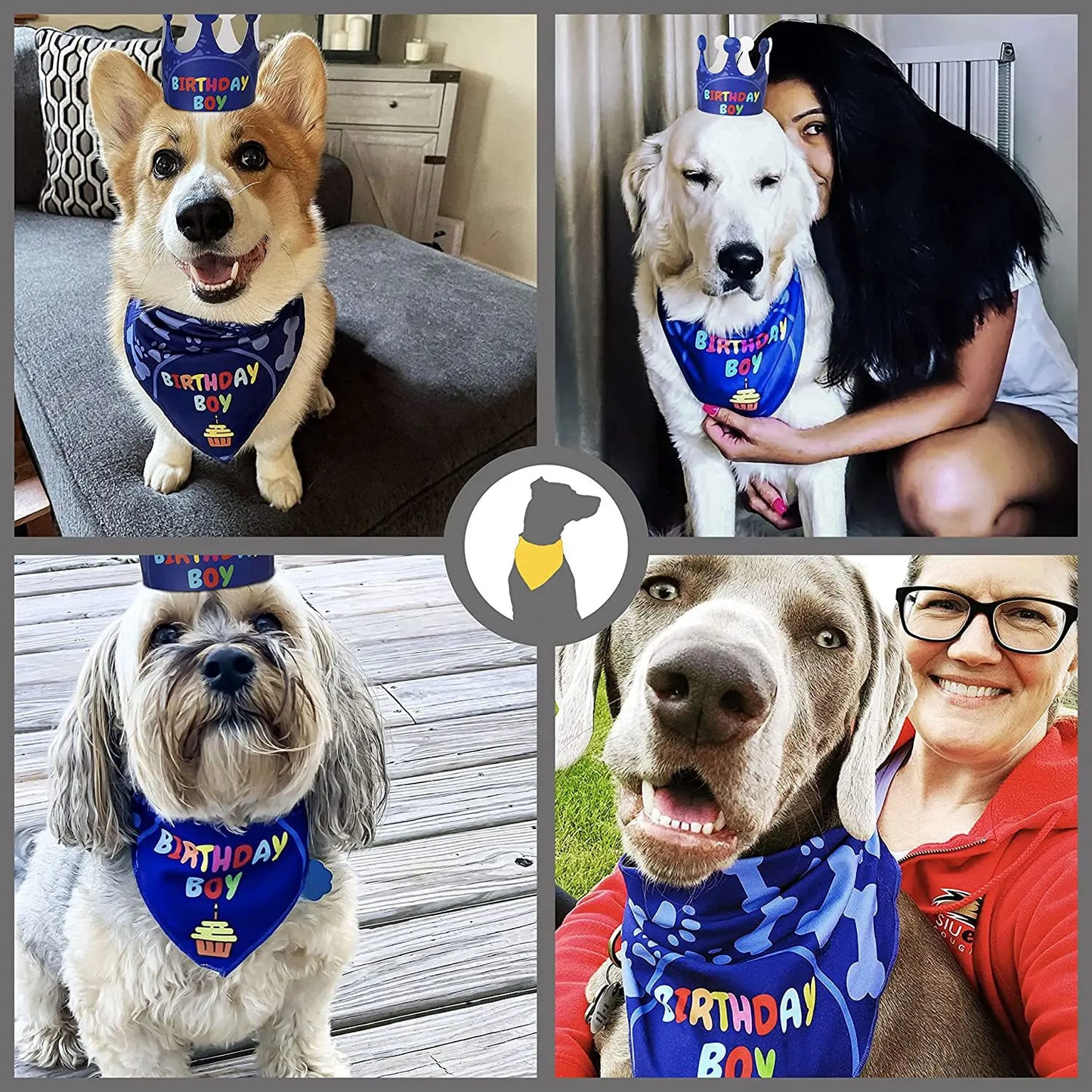 Pet Birthday Party Flag Decoration