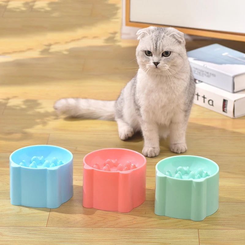 Pet Bowl Cats And Dogs