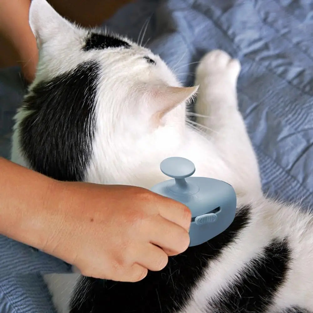Cat Steam Brush Steam Grooming