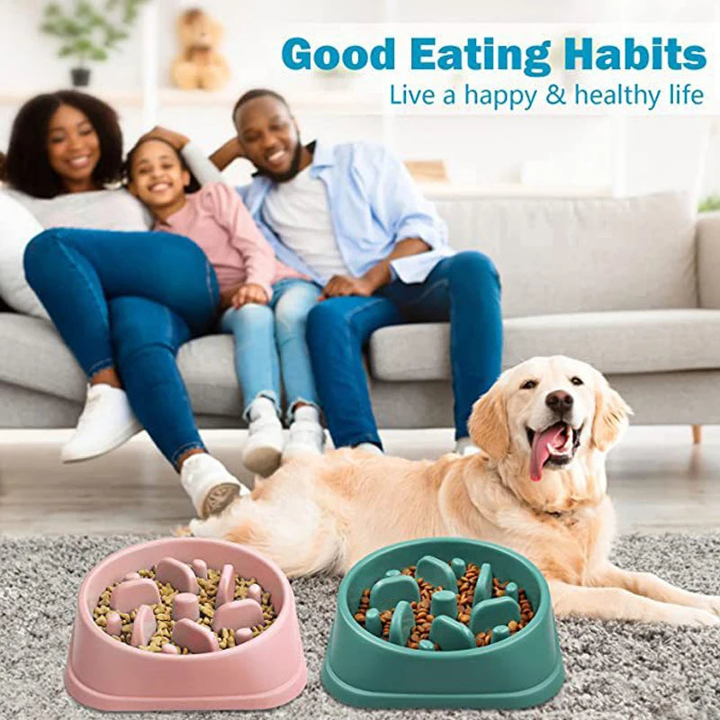 Slow Eating Feeders For Dogs