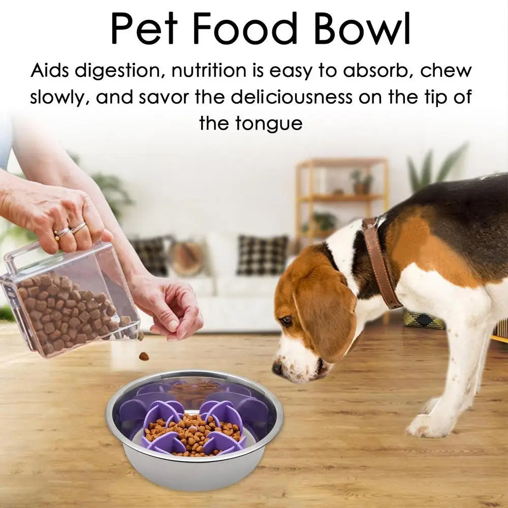 Pet Bowl Slow Feeder |