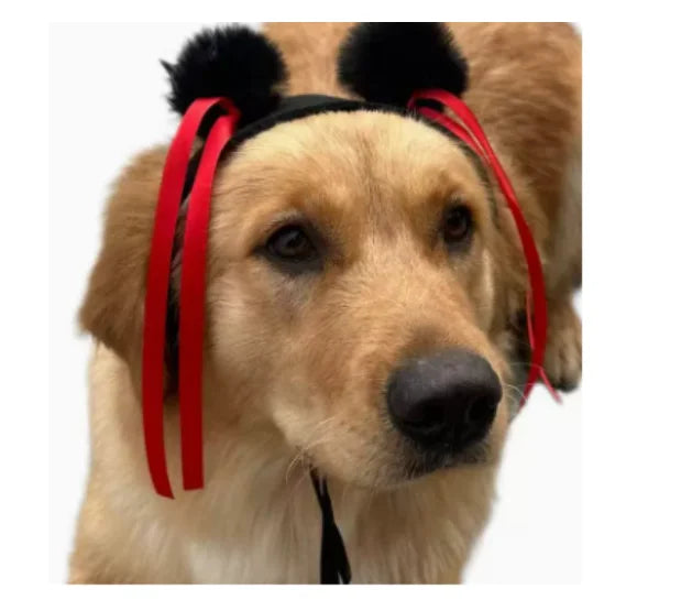Funny Karen Wig for Dogs – Hilarious Halloween Costume