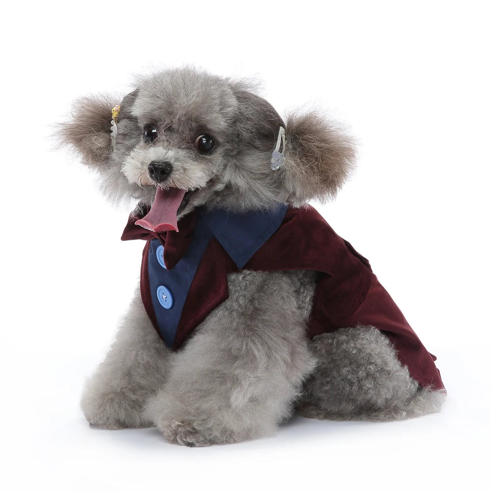 Dog Tuxedo Halloween Costume