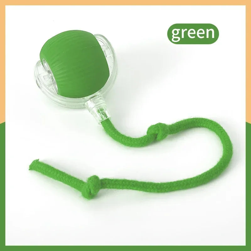 Interactive Electric Ball Cat Toy