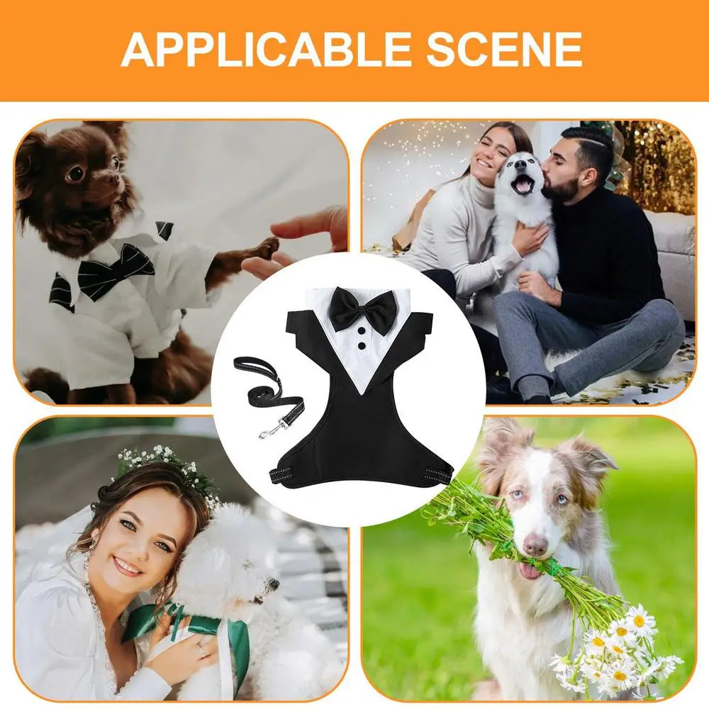Dogs Tuxedo Wedding Party Suit