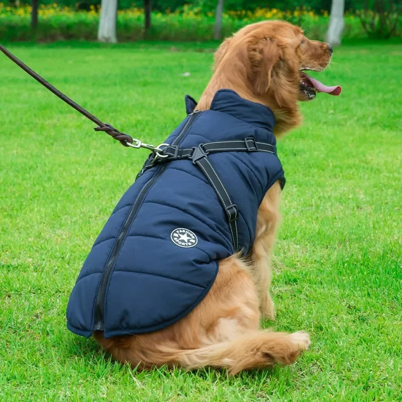 Waterproof Dog Jacket with Harness