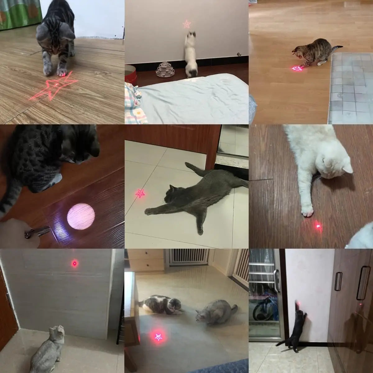 3 In 1 Cat Playing