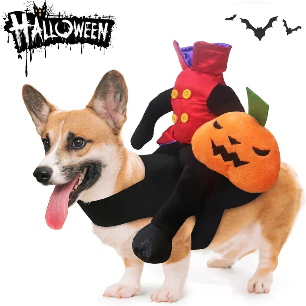 Halloween Pumpkin Dog Costume