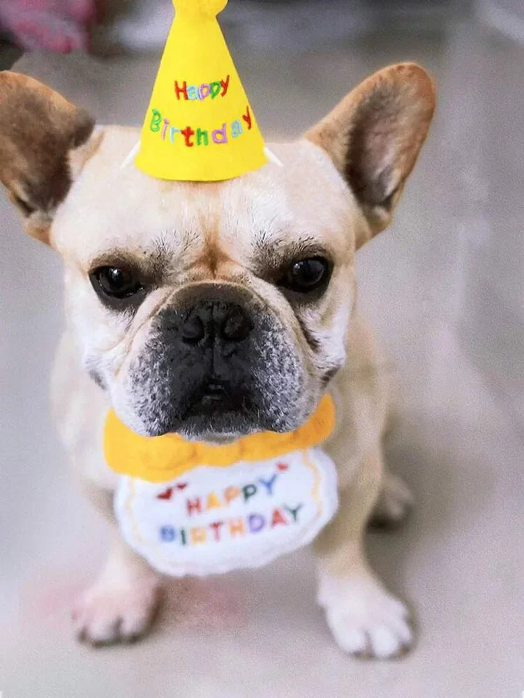 Cat Dog Birthday Bib And