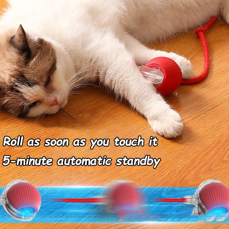 Interactive Electric Ball Cat Toy
