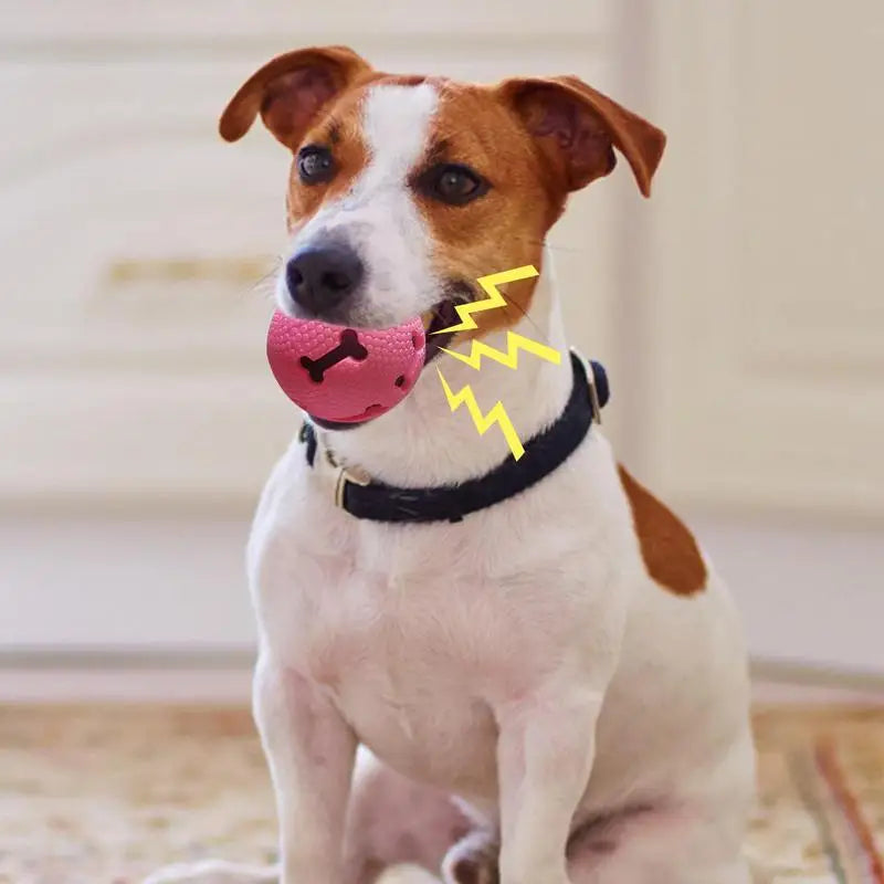 Bone Chew Toy & Treat Dispenser