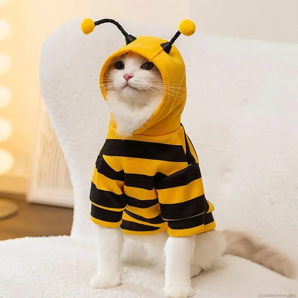 Halloween Dog Bee Costume