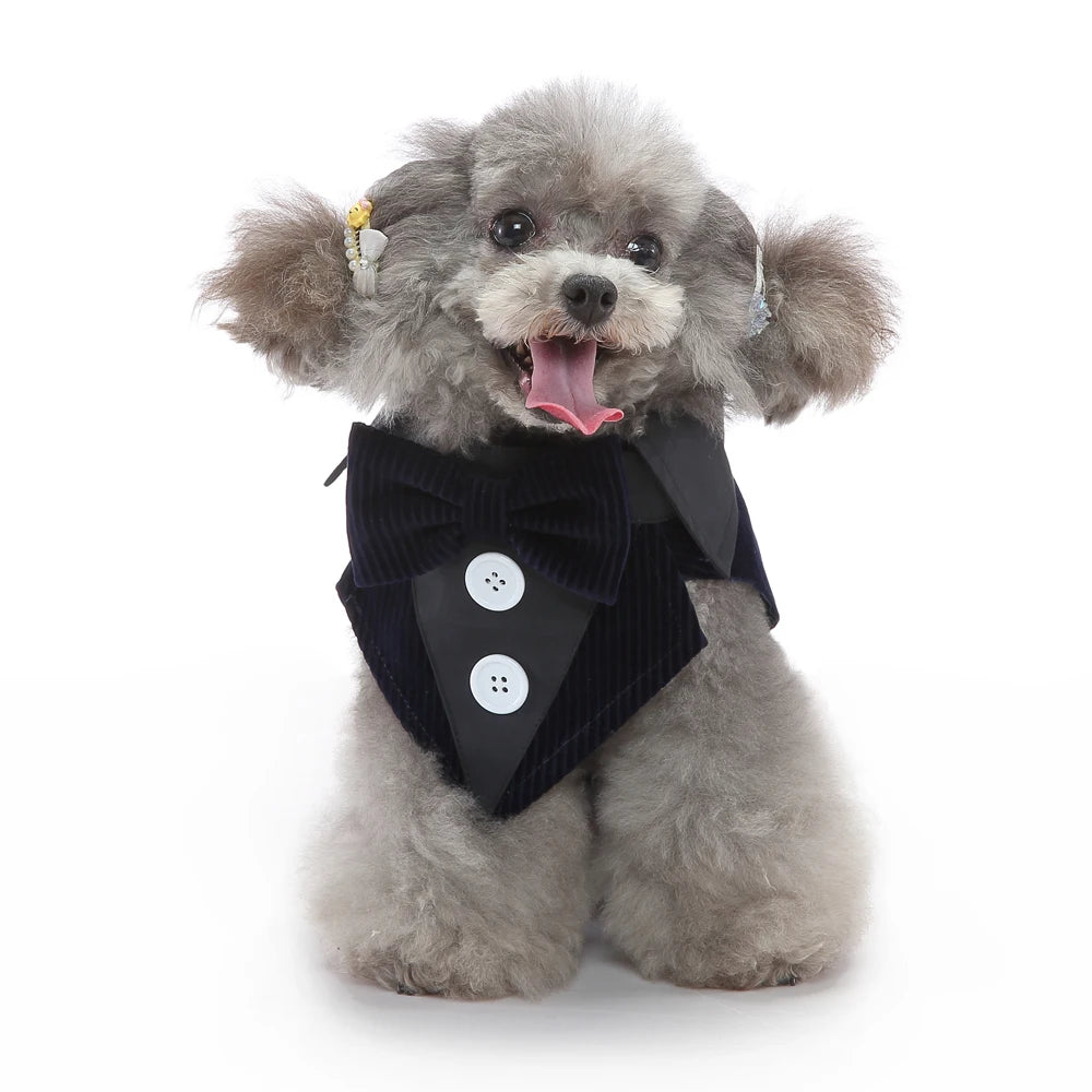 Dog Tuxedo Halloween Costume