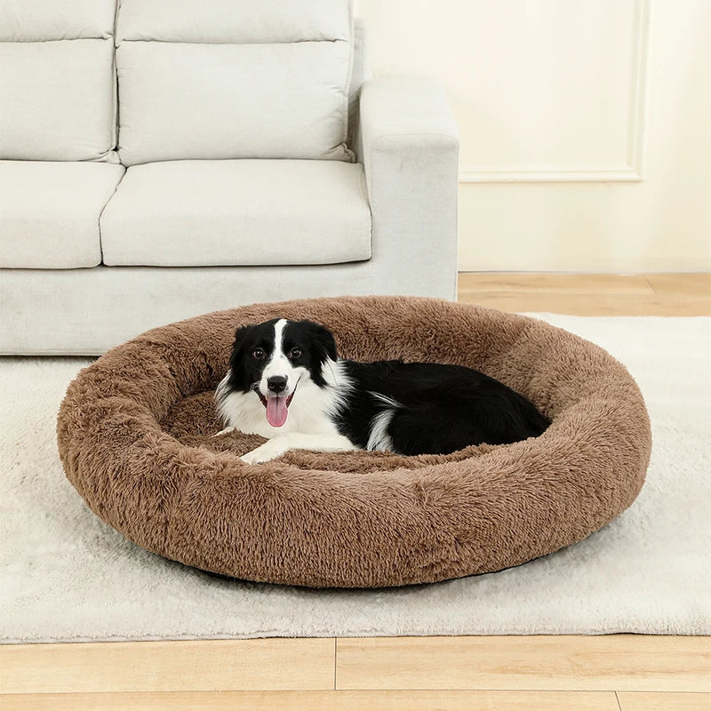 Soft Dog Beds House Soft