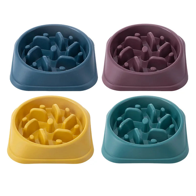 Slow Eating Feeders For Dogs